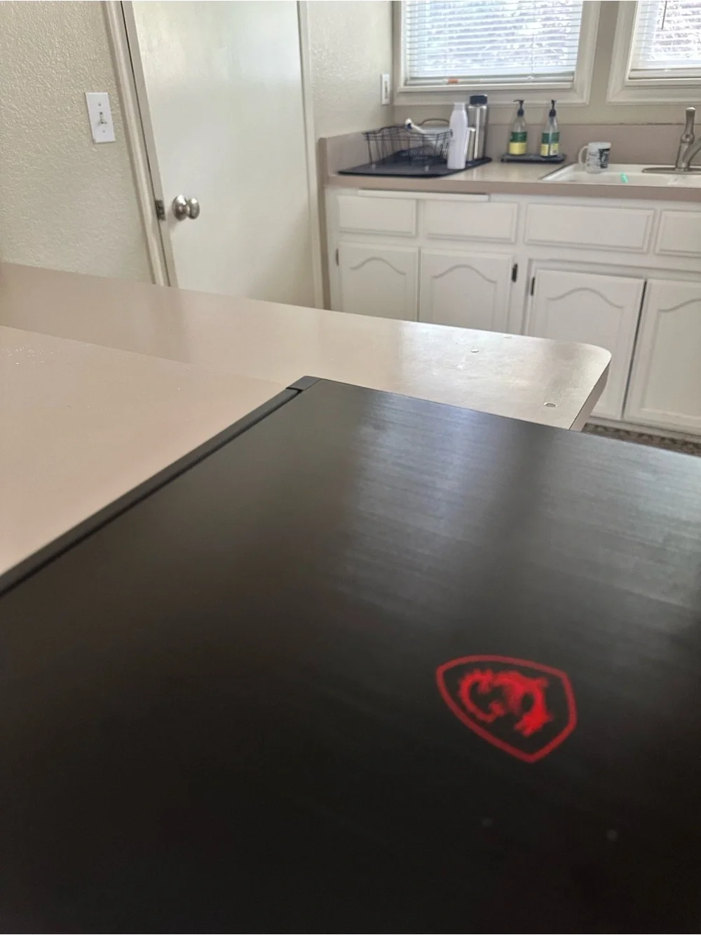 MSI GF63 Thin Gaming Laptop - Intel i5, 32GB RAM, NVIDIA GeForce GTX 1650, 1TB